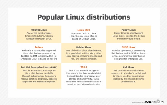 Debian: Hệ điều hành Linux phổ biến, phi thương mại, cộng đồng phát triển