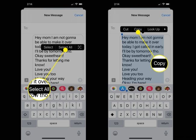 Cách xuất tin nhắn (Text Messages) từ iPhone