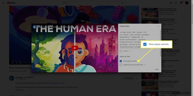 Cách tùy chỉnh video YouTube nhúng (Embed) cho website