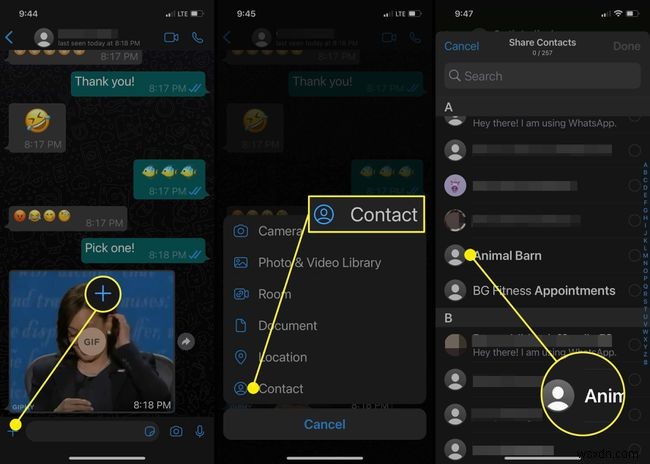 Cách chia sẻ danh bạ trên WhatsApp (iPhone và Android)
