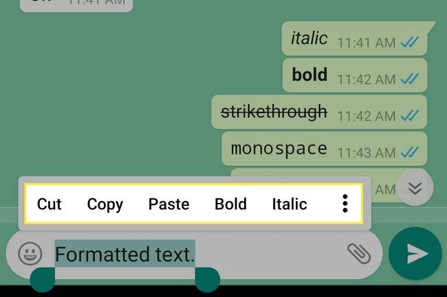 Cách định dạng tin nhắn WhatsApp: In đậm, In nghiêng, Gạch ngang, Monospace