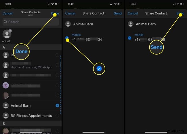 Cách chia sẻ danh bạ trên WhatsApp (iPhone và Android)