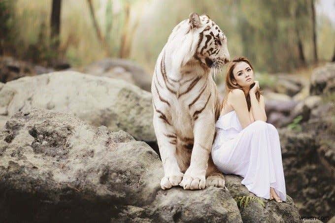4 công cụ nén và tối ưu hóa hình ảnh trực tuyến tuyệt vời