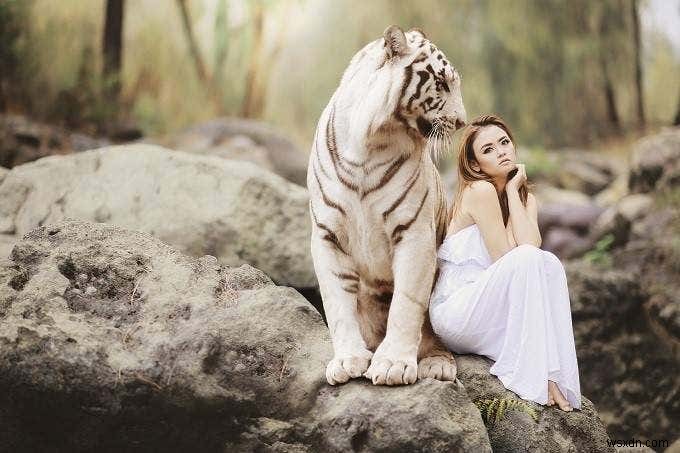 4 công cụ nén và tối ưu hóa hình ảnh trực tuyến tuyệt vời