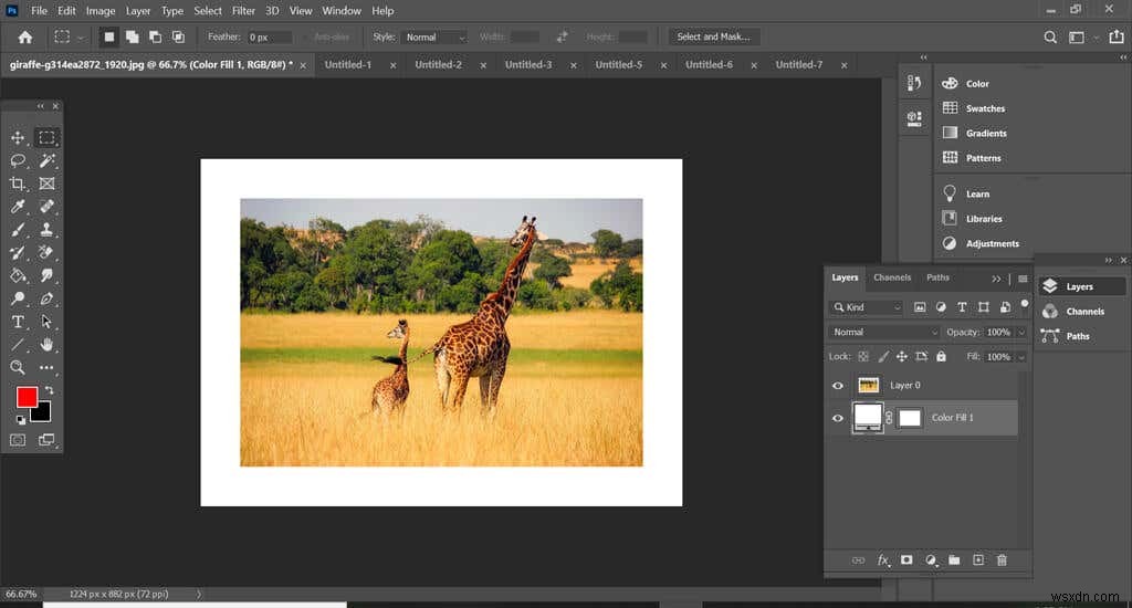 Hướng dẫn thêm viền (border) trong Photoshop