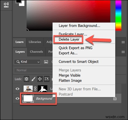 Cách Xóa Hoặc Thay Thế Nền Trong Photoshop