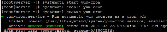 Bật cập nhật gói tự động trên RHEL/CentOS
