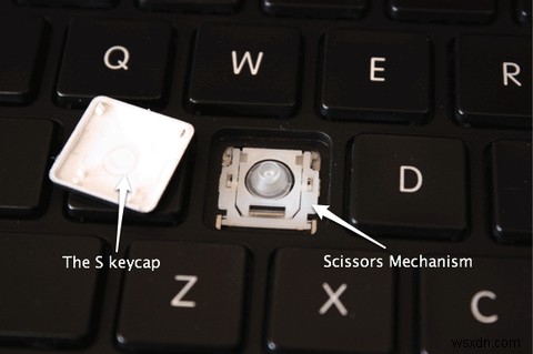 Vừa làm đổ nước hoặc cà phê lên laptop - Đây là những gì bạn nên làm