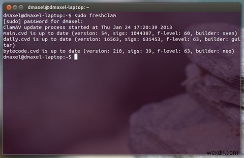 Điều khiển quét virus từ dòng lệnh với Clam Antivirus [Linux]