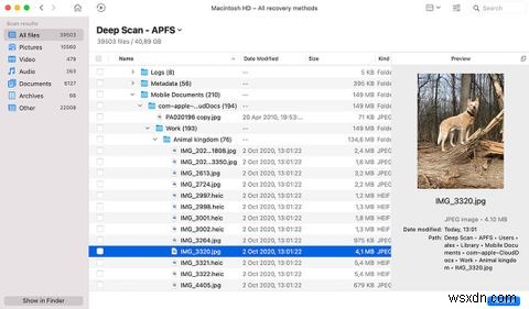 4 công cụ tốt nhất sửa file hỏng/hư hỏng trên macOS