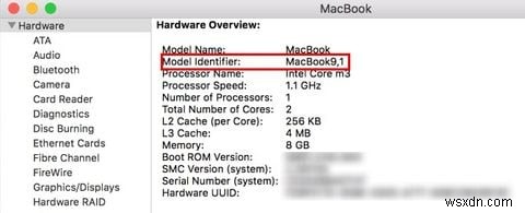 Hướng dẫn hoàn chỉnh ứng dụng mặc định Mac và chức năng của chúng