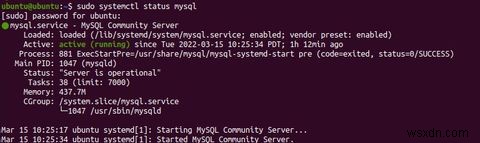 Cách cài đặt và cấu hình MySQL trên Ubuntu