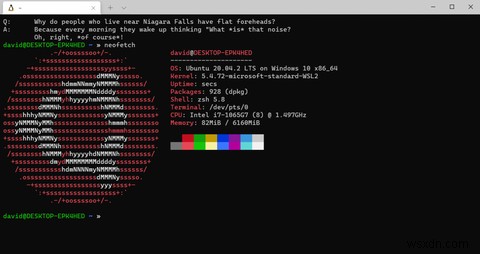 6 Hệ Điều Hành Và Giao Diện Màn Hình Cho Windows Subsystem For Linux