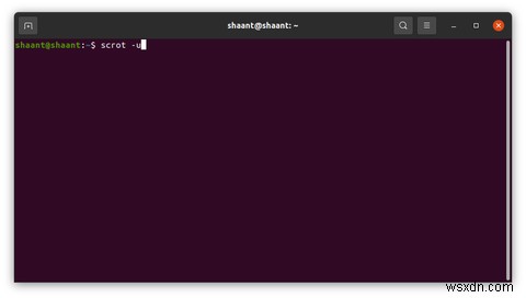 Cách Cài Đặt scrot Và Chụp Màn Hình Trên Ubuntu