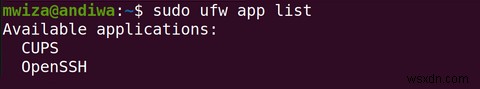 Cách Cấu Hình Tường Lửa Trong Ubuntu Với UFW