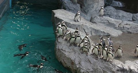 Chúng Ta Có Thực Sự Tin Được Linux Không?
