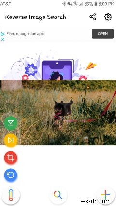 10 ứng dụng tìm kiếm hình ảnh ngược tốt nhất cho iPhone và Android