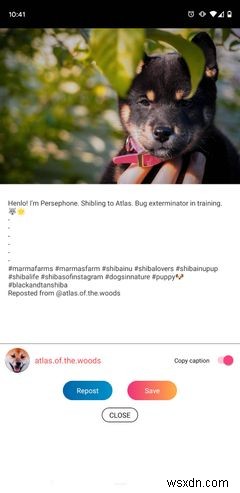 5 Ứng Dụng Repost Instagram Tốt Nhất Cho Android Và iPhone