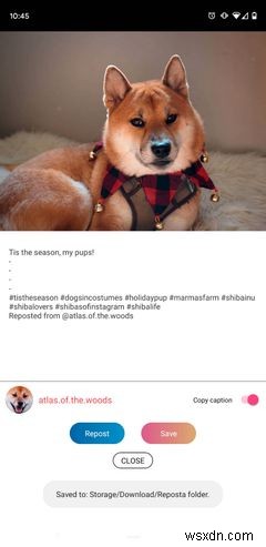 5 Ứng Dụng Repost Instagram Tốt Nhất Cho Android Và iPhone