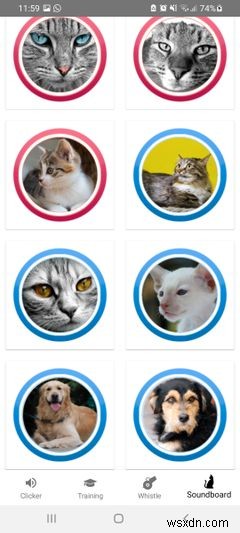 5 Ứng Dụng Huấn Luyện Chó Bằng Tiếng Kèn Và Clicker Cho Android