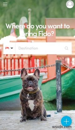7 Ứng Dụng iPhone Bắt Buộc Cho Tất Cả Chủ Nuôi Chó