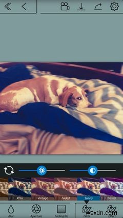 4 ứng dụng Portrait Mode tốt nhất cho mọi iPhone