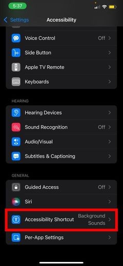 Cách phát âm thanh nền thư giãn bằng iOS 15