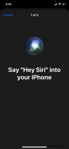 Hướng dẫn người mới: Thiết lập và sử dụng Siri