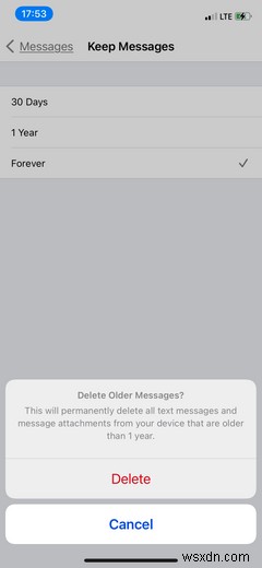 Cách xóa bộ nhớ  Khác  (Other) trên iPhone
