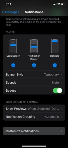 Cách ngăn tin nhắn lặp lại cảnh báo hai lần trên iPhone