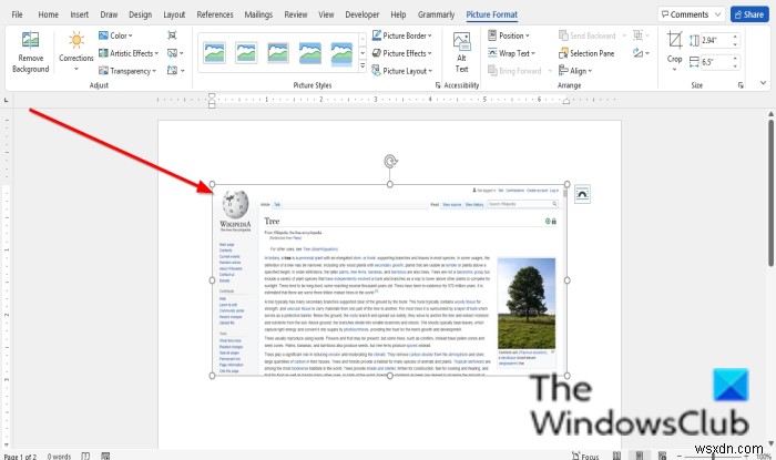 Cách dùng công cụ Chụp màn hình (Screenshot) tích hợp trong chương trình Office