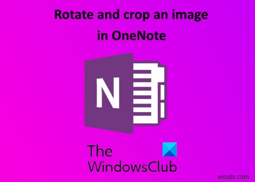 Cách Xoay và Cắt ảnh trong Microsoft OneNote