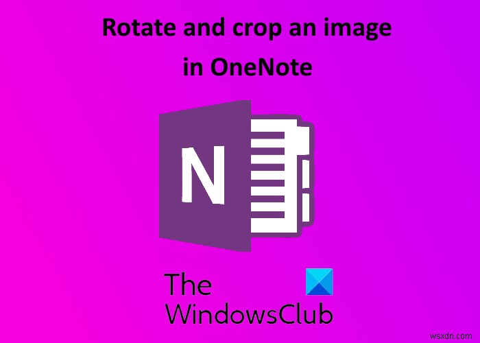Cách Xoay và Cắt ảnh trong Microsoft OneNote