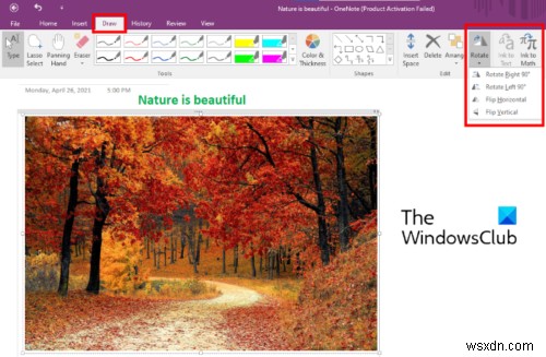 Cách Xoay và Cắt ảnh trong Microsoft OneNote