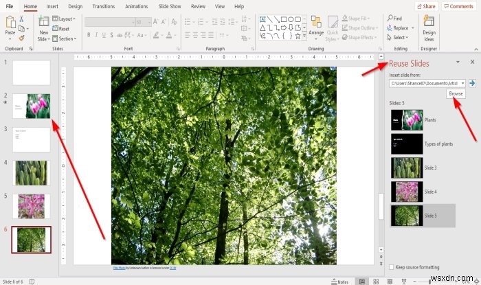 Cách tái sử dụng hoặc nhập slide từ bài trình bày PowerPoint này sang bài khác