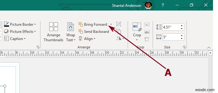 Thêm, Di chuyển và Chỉnh sửa Hình ảnh trong Microsoft Publisher