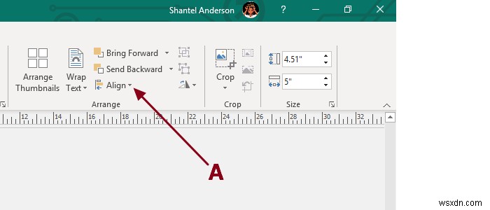 Thêm, Di chuyển và Chỉnh sửa Hình ảnh trong Microsoft Publisher