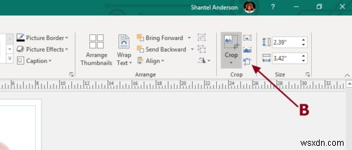Thêm, Di chuyển và Chỉnh sửa Hình ảnh trong Microsoft Publisher