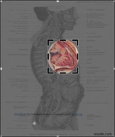 Cách tạo hiệu ứng Zoom Animation trong slide PowerPoint