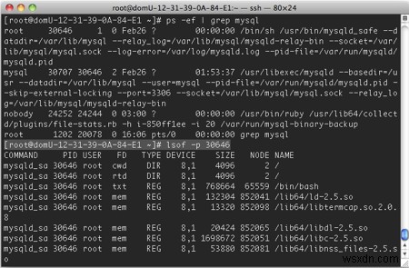 Cách lấy danh sách file, socket và pipe đang mở trên Linux