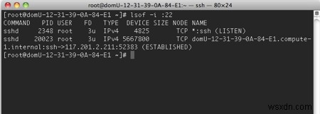 Cách lấy danh sách file, socket và pipe đang mở trên Linux
