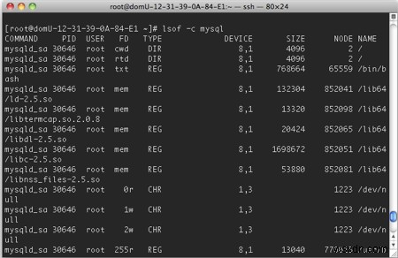 Cách lấy danh sách file, socket và pipe đang mở trên Linux