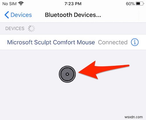 Cách dùng chuột Bluetooth điều khiển iPhone/iPad (iOS 13+/iPadOS)