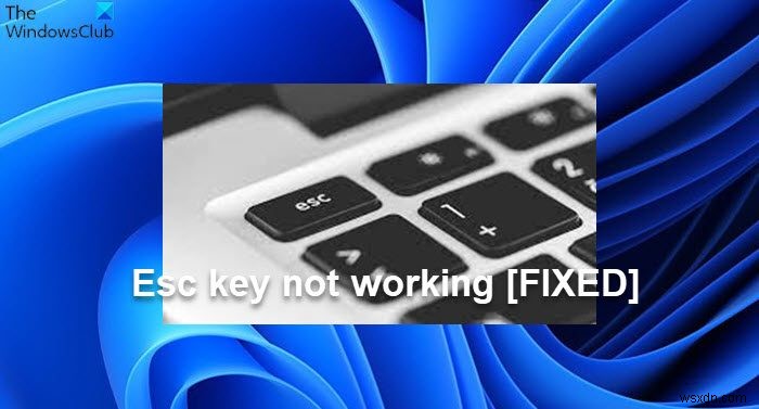 Phím Esc không hoạt động trên Windows 11/10