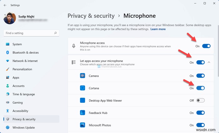 Lệnh thoại Cortana không hoạt động trên Windows 11/10