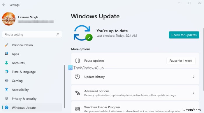 Cài đặt Windows Update trong Windows 11