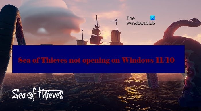 Khắc phục lỗi Sea of Thieves không khởi động trên Windows 11/10