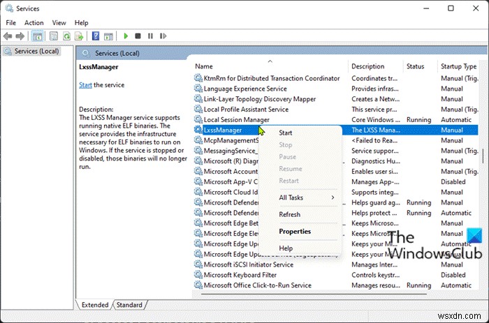 Localhost từ chối kết nối trong Chrome trên Windows 11