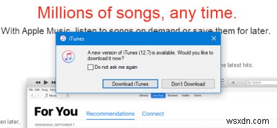 Thiết bị iOS không hiển thị trong iTunes cho Windows 11/10