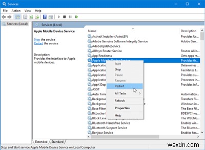 Thiết bị iOS không hiển thị trong iTunes cho Windows 11/10